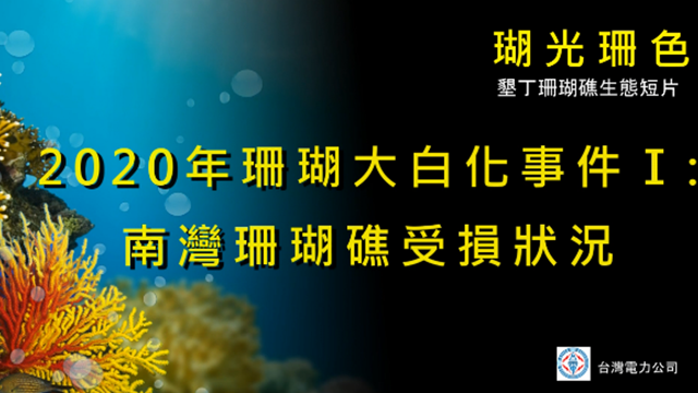 2020年珊瑚大白化事件Ⅰ：南灣珊瑚礁受損狀況